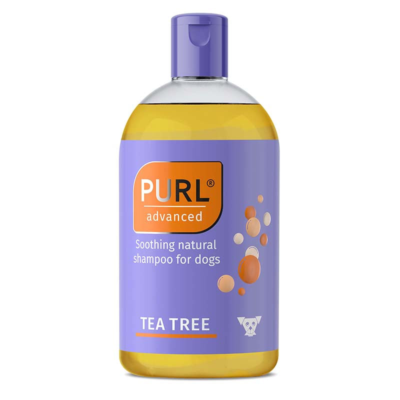 Kyron Purl Advanced Tea Tree Shampoo 250ml