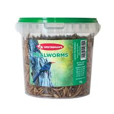 Westerman's Meal Worms 150g Tub