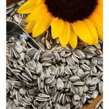 Farmers Choice Sunflower Striped 30kg bag